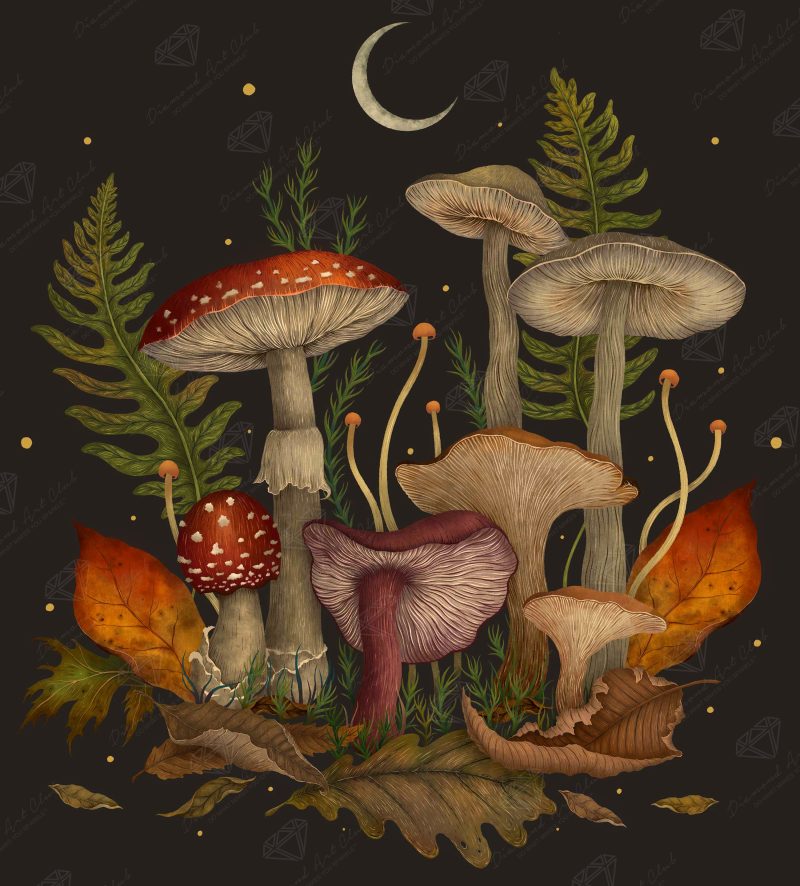 autumn mushrooms diamond art painting 46148605214913