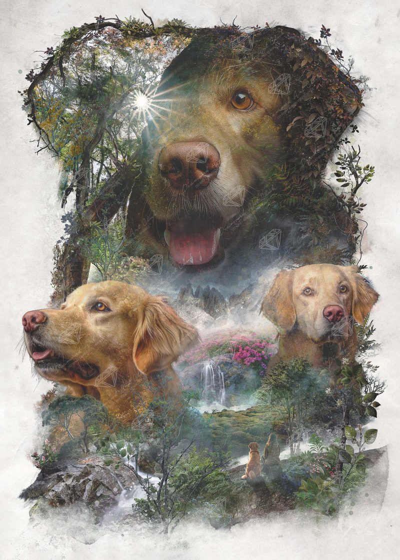 golden retriever diamond art painting 46249771565249