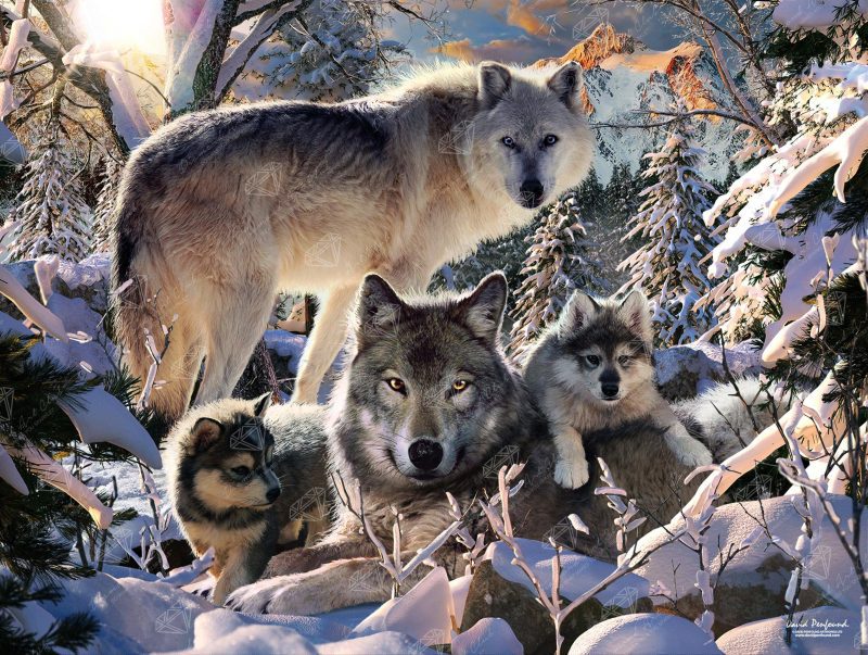 winter wolf family diamond art painting 34406955122881