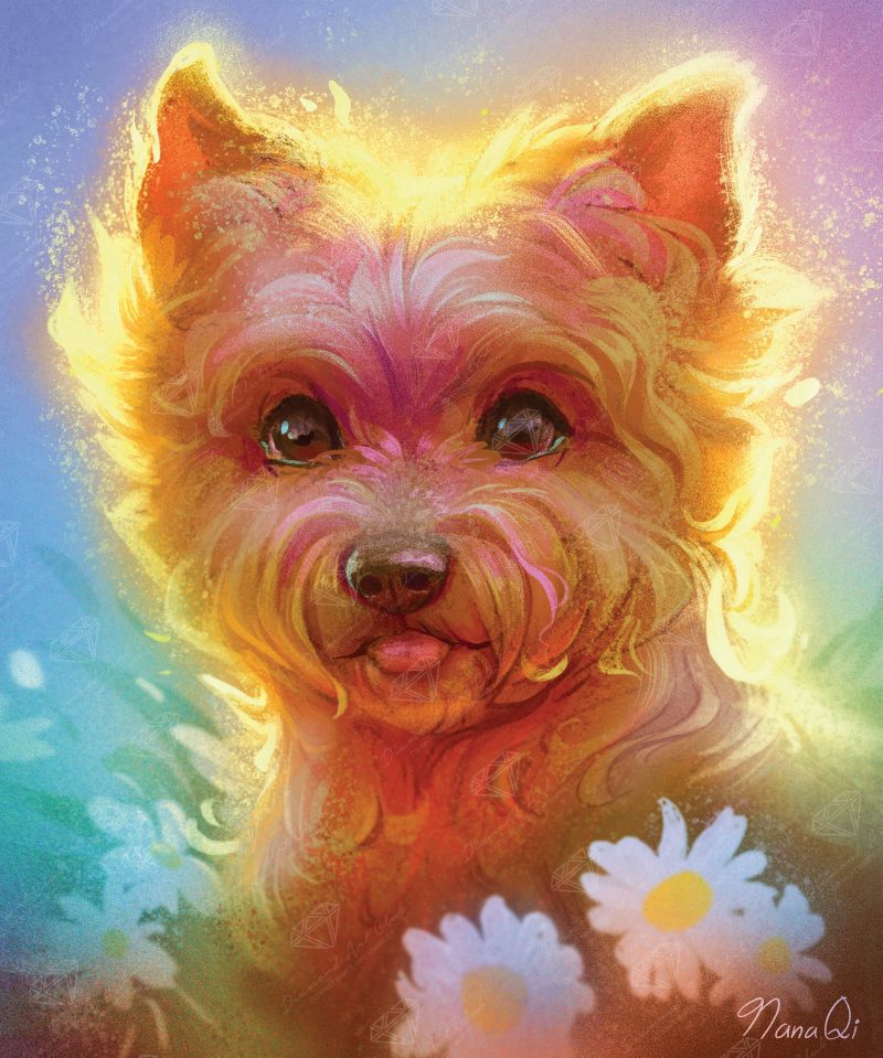 yorkie glow diamond art painting 42947432022209